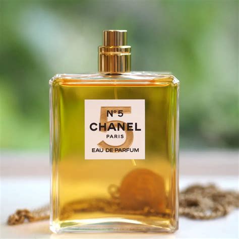 chanel no 5 nz|chanel no 5 limited edition.